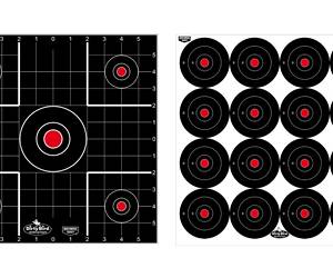 B/C DIRTY BIRD COMBO TARGETS 12PK