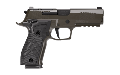 SIG 226 XLGN DA/SA 9MM 4.4" 10RD GRY - Image 2